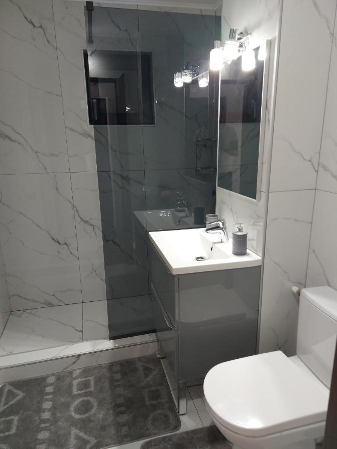 Cuza 21 Apartment Brăila Екстериор снимка